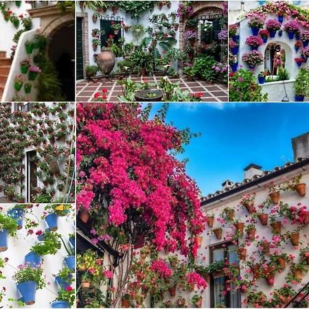 Apartamento Centrico En El Casco Historico De Cordoba Córdoba Exterior foto